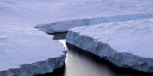 Antarctique : nouvelle réunion sur la création d'un sanctuaire marin