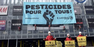 Greenpeace accuse Leclerc de favoriser l'usage de pesticides