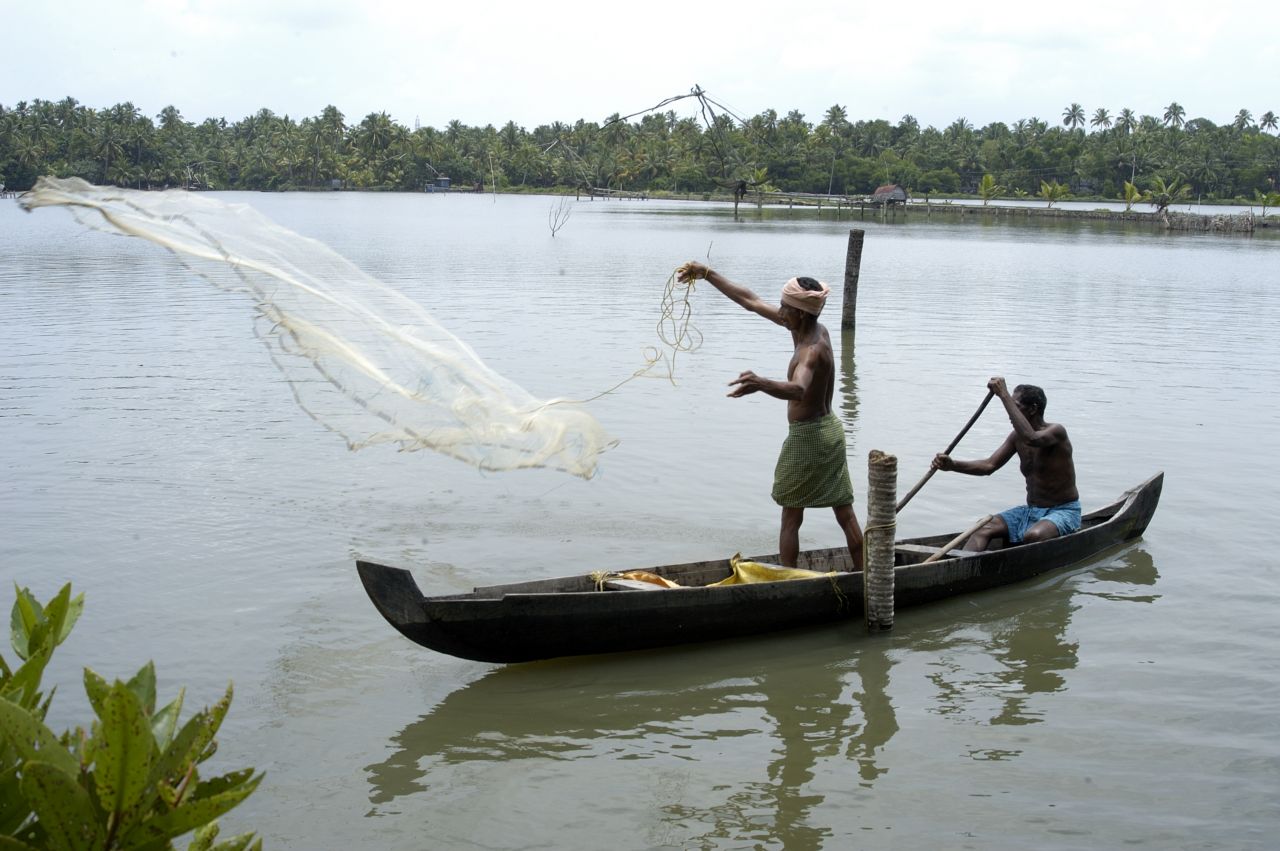 Au Kerala (Inde), les villageois se mobilisent pour l’environnement