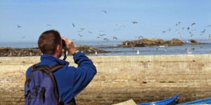 Les métiers de l'environnement : ornithologue