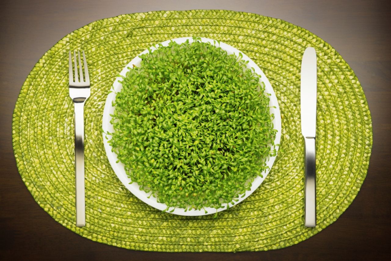 Les régimes «green» : aussi bon pour la planète que pour la santé ?