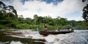 EN IMAGES. Parcs nationaux de France : le Parc Amazonien de Guyane