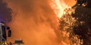 VIDEOS. Australie : deux morts dans un gigantesque feu de forêt