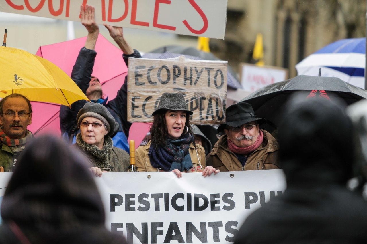 EN IMAGES. Bordeaux : une marche blanche anti-pesticides