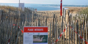 Environnement : la plage du cap Ferret en danger