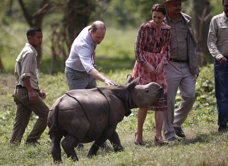 Inde: un rhinocéros tué par des braconniers dans le parc visité par William et Kate
