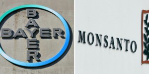 Fusion Bayer/Monsanto : de grands chefs dénoncent «un danger pour nos assiettes»