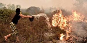 Incendies en Asie du Sud-Est : la fumée cause 100 000 décès prématurés en 2015