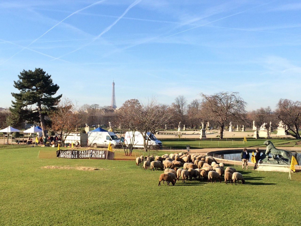 Attaques de loups : des éleveurs manifestent au jardin des Tuileries à Paris 