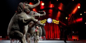 Le cirque Barnum, «le plus grand spectacle du monde», vit ses derniers jours  