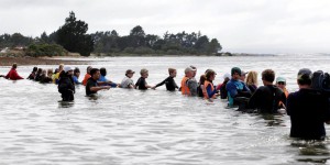 EN IMAGES. Nouvelle-Zélande : la plupart des baleines échouées remises à flot