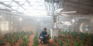Cultiver des pommes de terre sur Mars ? Ce sera possible répond la science