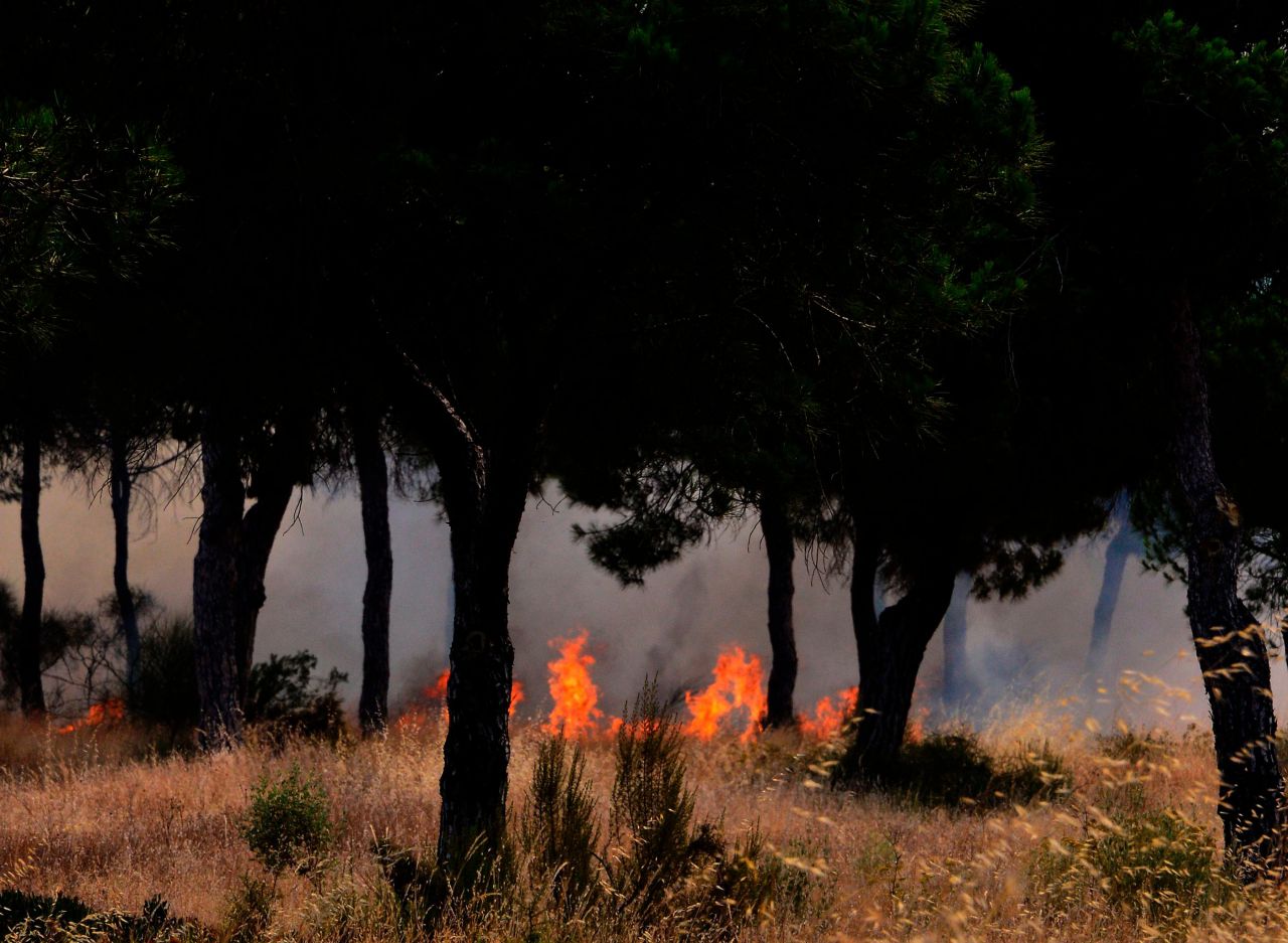 EN IMAGES. Incendie en Espagne : la Doñana, un site naturel et touristique menacé