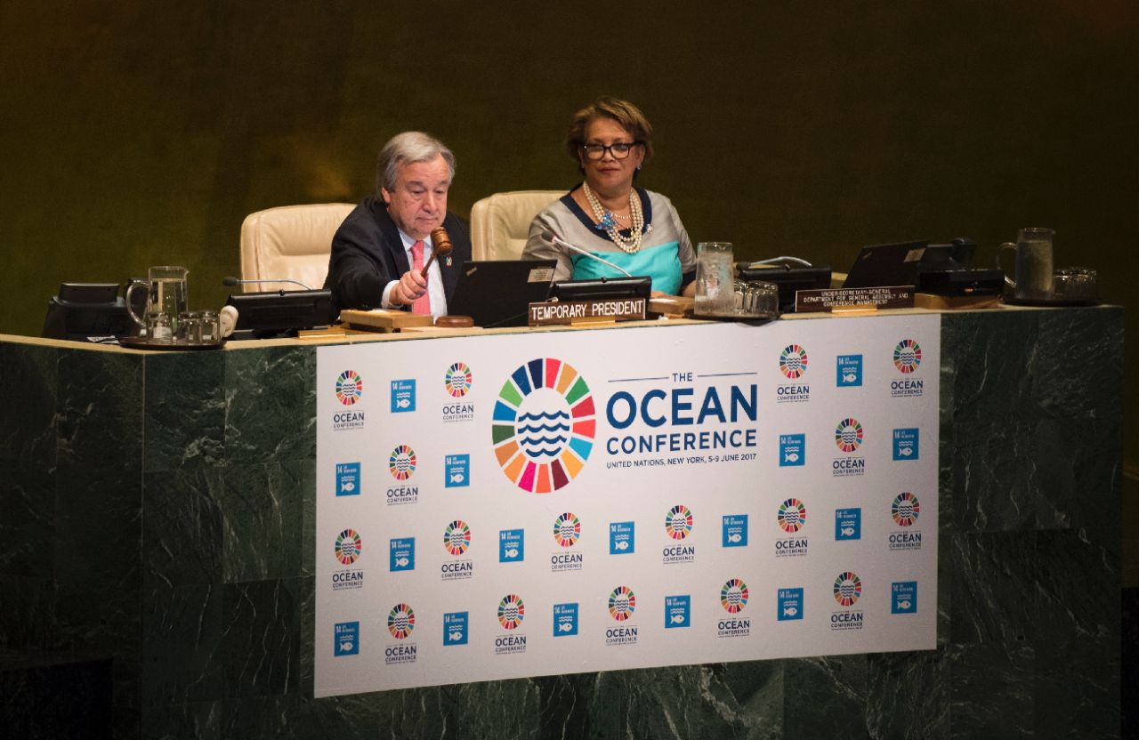 L'ONU appelle à sauver les océans pour éviter «une catastrophe mondiale»