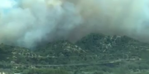 Un incendie dévaste 200 hectares dans le Vaucluse 