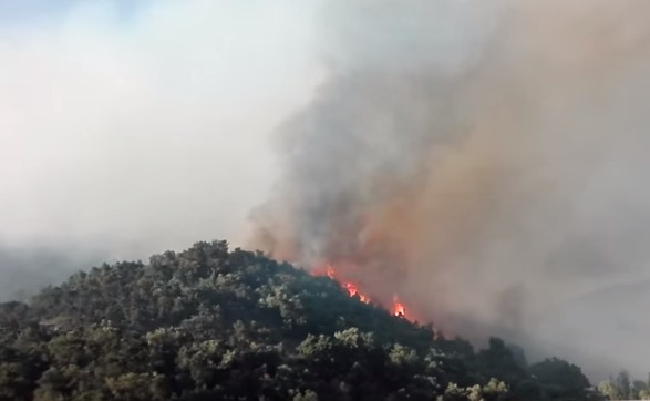 Incendie de forêt dans les Pyrénées-Orientales : le feu en passe d'être circonscrit