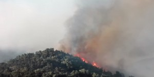 Incendie de forêt dans les Pyrénées-Orientales : le feu en passe d'être circonscrit