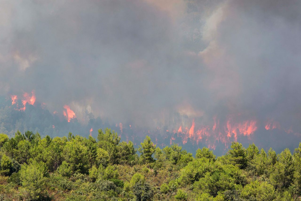 Incendies : plus de 1000 hectares détruits dans le sud de l'Espagne