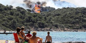 Incendies : dans le Var, «une véritable catastrophe écologique»