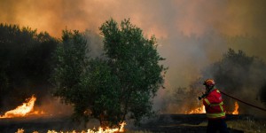 Incendies au Portugal : 141 000 hectares partis en fumée depuis le début de l'année