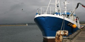 18 tonnes de thon rouge saisies à bord d'un chalutier portugais au large de Lorient