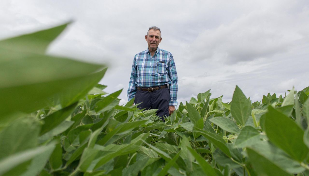 Glyphosate : Juan Carlos, agriculteur argentin et «pionnier du soja OGM»
