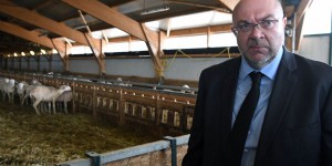  Glyphosate : le ministre de l'Agriculture évoque une prolongation de «de 5 à 7 ans»