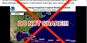 Requins, évasion, Air France : beaucoup de «fake news» autour de l’ouragan Irma
