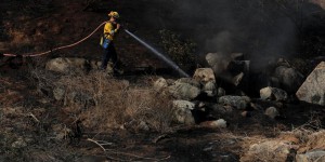 Incendies en Californie : des élevages de pur-sang ravagés par les flammes