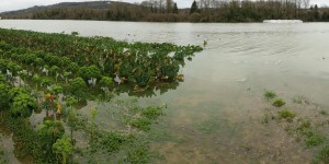 Inondations : encore 11 départements en vigilance orange