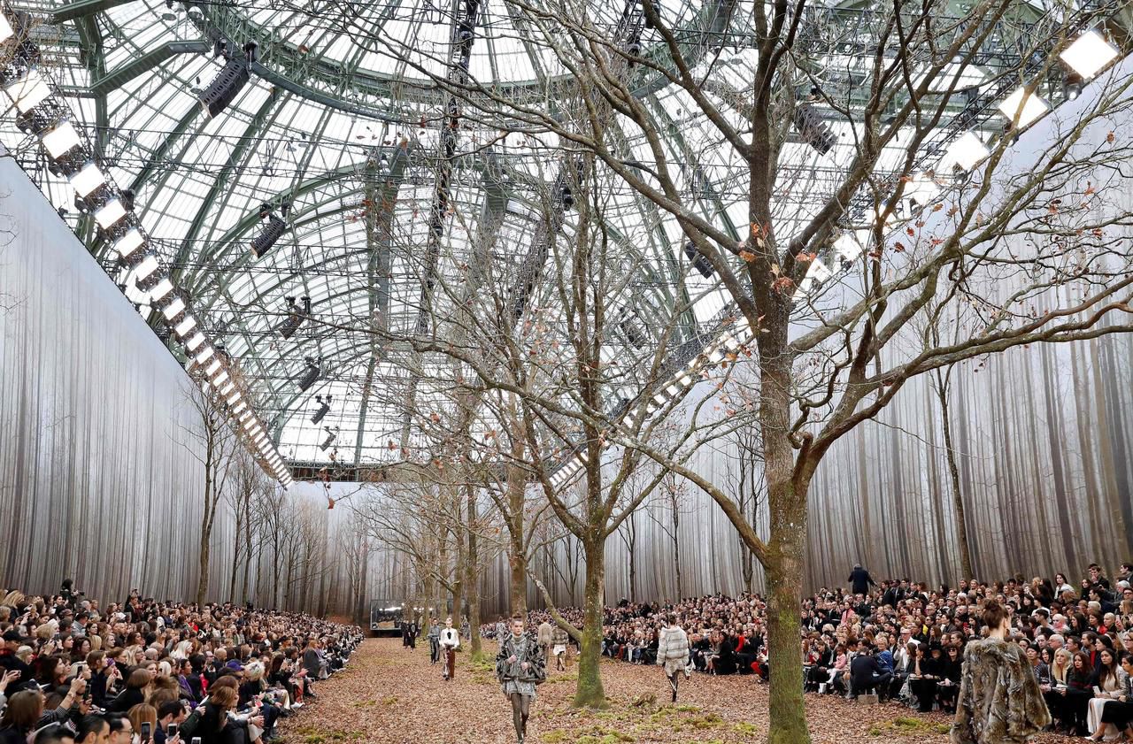 Pour un décor de défilé, Chanel abat des dizaines d’arbres