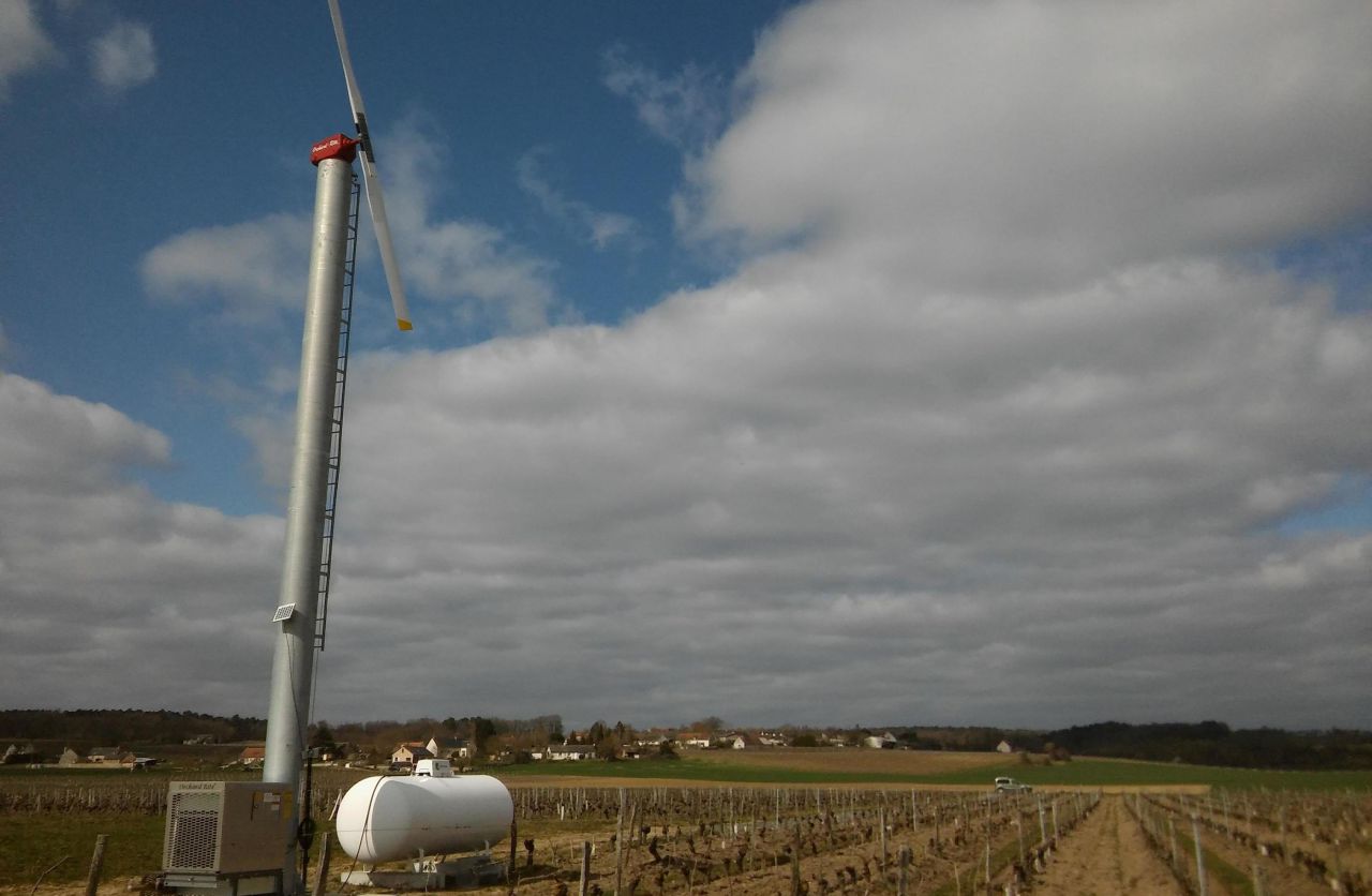 Des éoliennes géantes pour lutter contre le gel des vignes