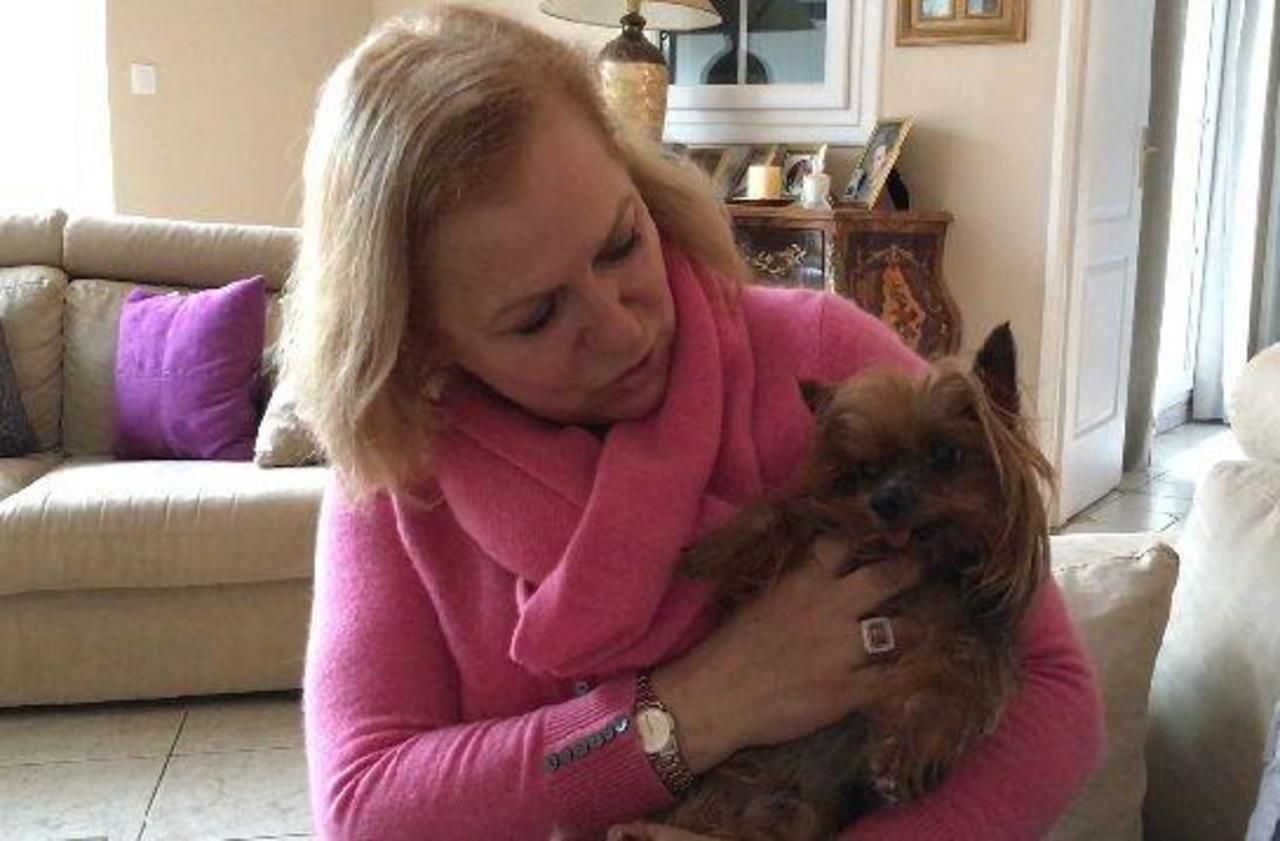 VIDEO. Val-de-Marne : elle retrouve son chien dix ans après sa disparition