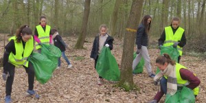 Ile-de-France  : haro sur les ordures et les décharges sauvages dans les forêts