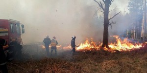 Incendie en Gironde : 170 ha de pinède partis en fumée