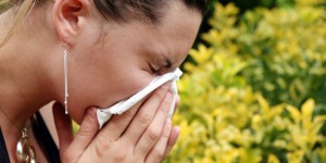 INTERACTIF. Allergies : tout savoir sur les pollens qui flottent dans votre ville