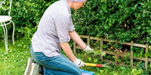 Jardinage : comment désherber sans polluer