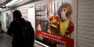 Paris : pour l’association Zoopolis «la question animale n’est pas prise au sérieux» dans la capitale