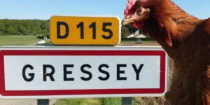Yvelines : l’arrivée de 40 000 poules inquiète les habitants de Gressey