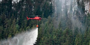 EN IMAGES. Incendies en Suède : aide internationale pour lutter contre les flammes