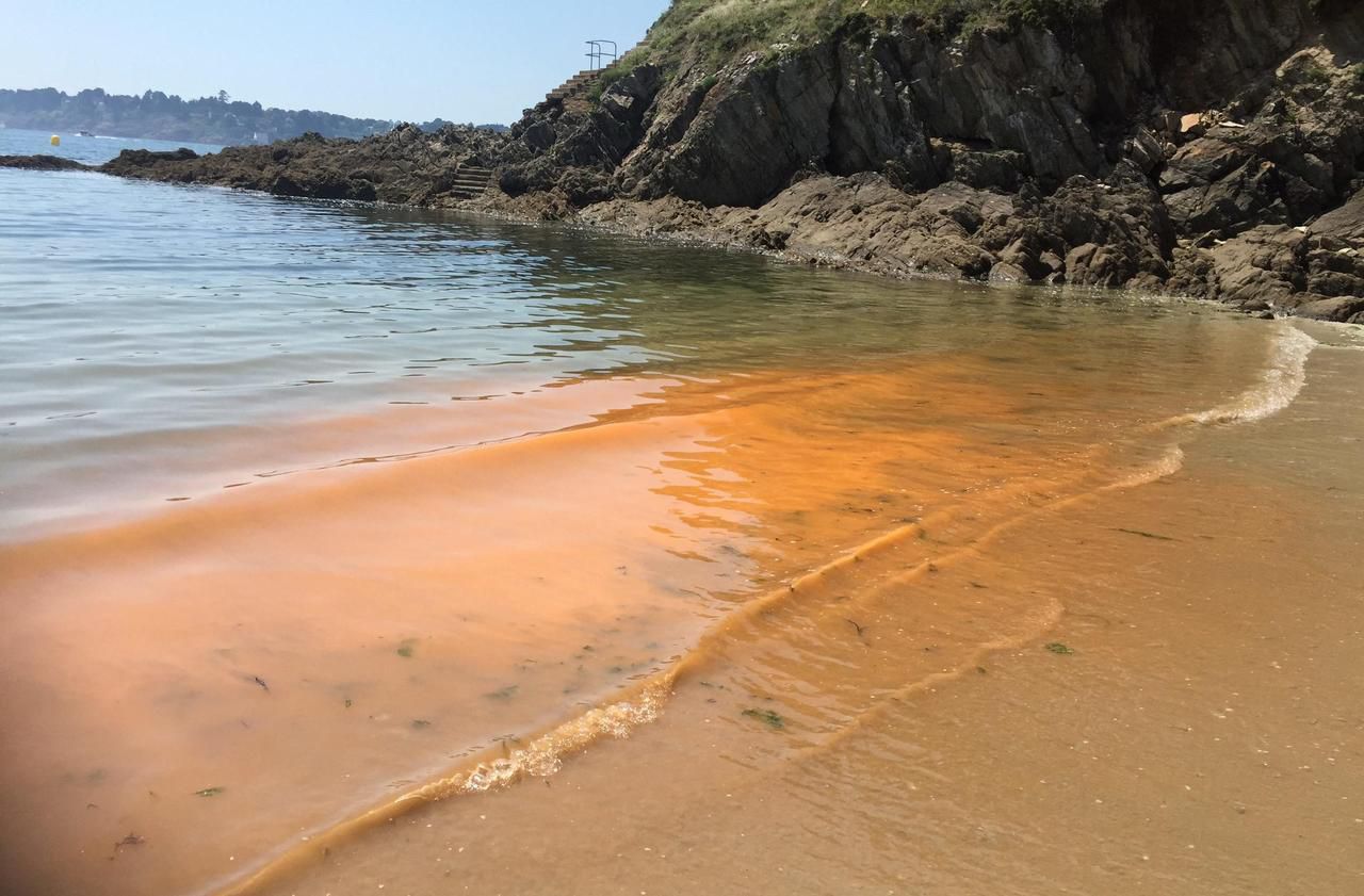 Pourquoi l’eau est orange sur plusieurs plages bretonnes ?