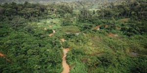 Projet Montagne d'or en Guyane : reportage au coeur de la mine de la discorde