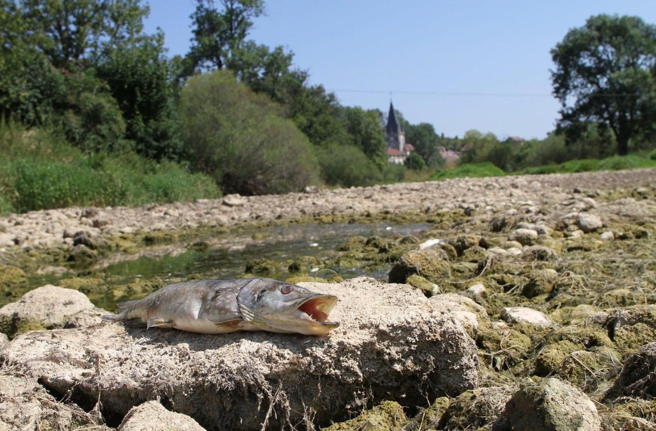 Environnement : la rivière du Doubs a disparu