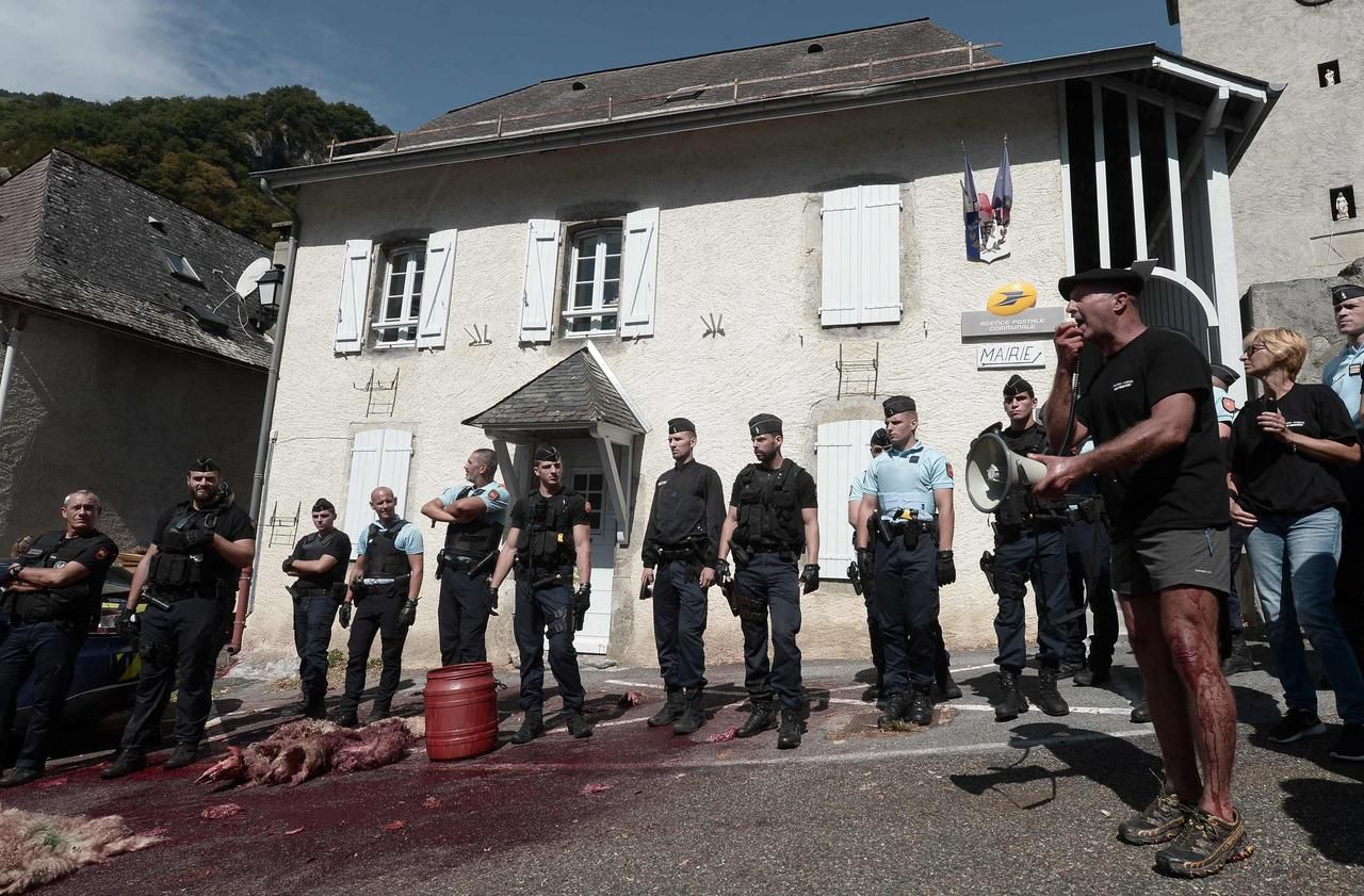 Pyrénées-Atlantiques  : jets de sang et de carcasses lors d’une manifestation anti-ours