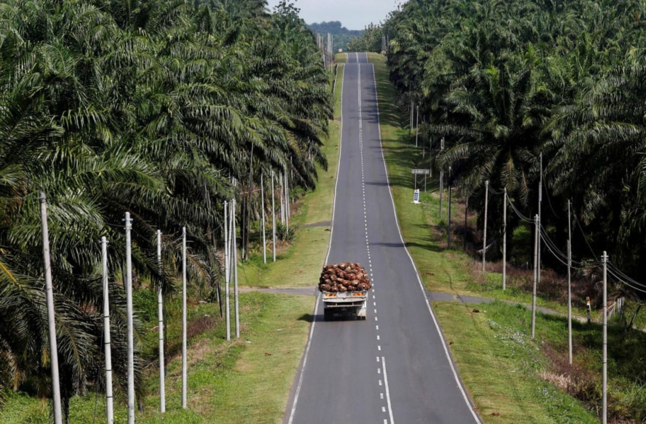 Huile de palme : l’Indonésie signe un moratoire de trois ans