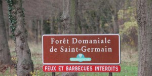 Saint-Germain-en-Laye : la forêt sera «protégée» avant la fin de l’année
