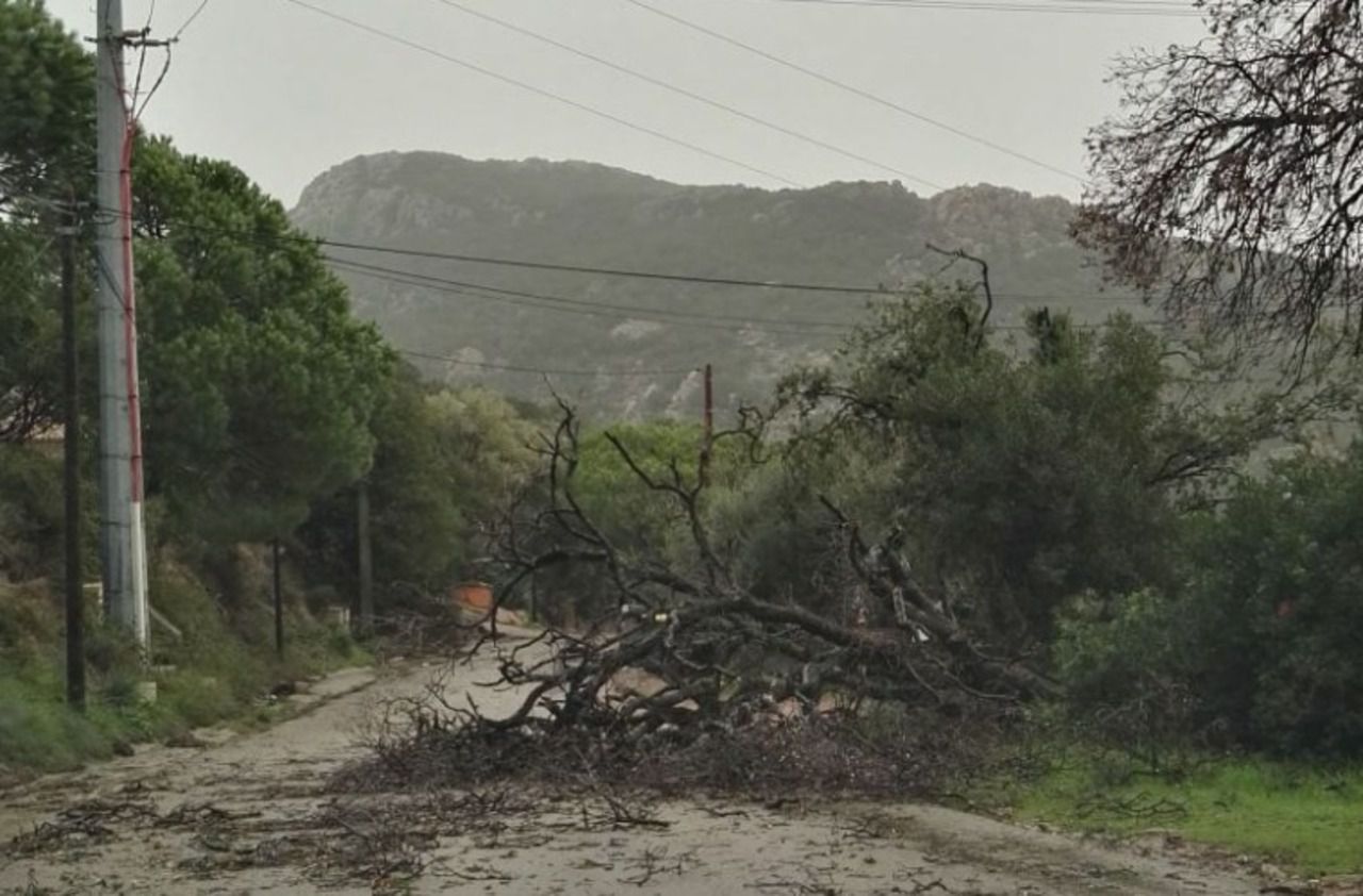 Tempête Adrian en Corse : plusieurs blessés et d’importants dégâts