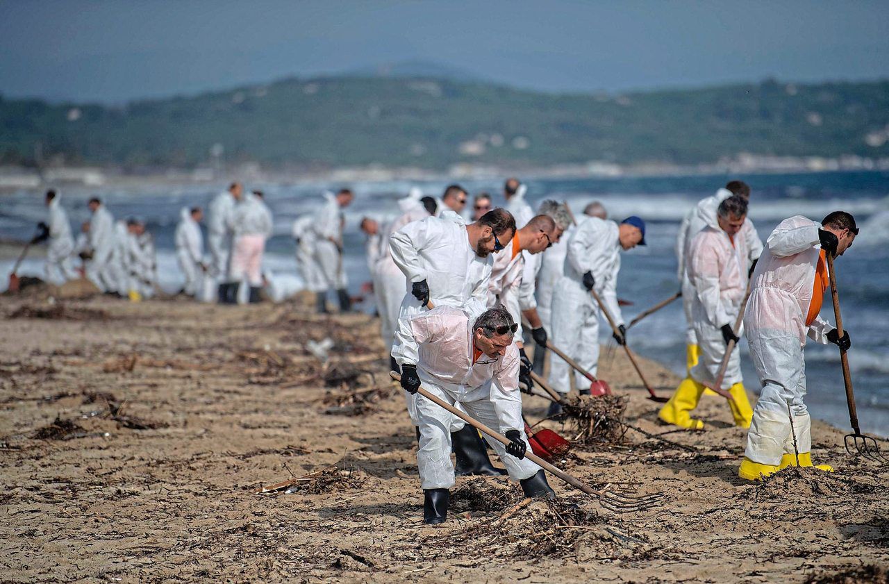 Var : des bénévoles dépolluent la plage de Pampelonne