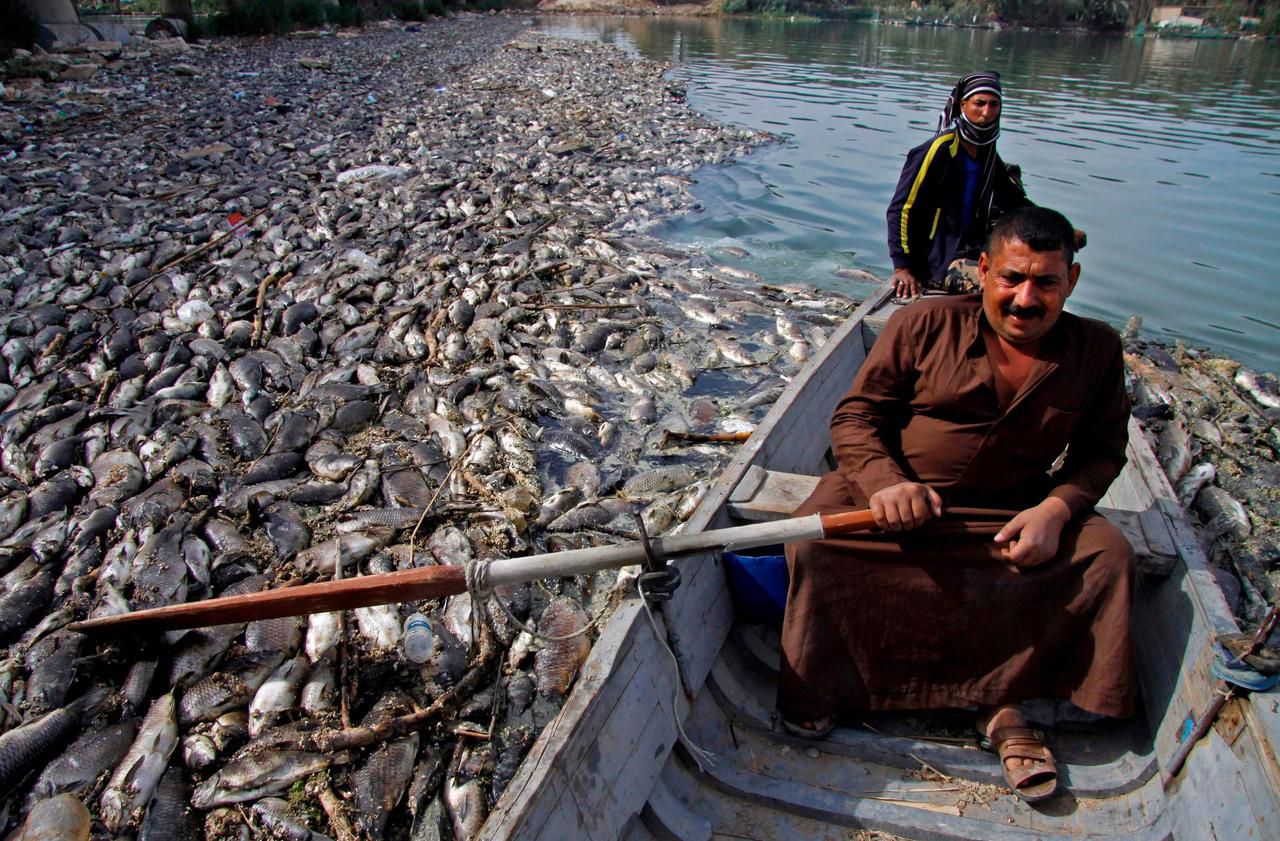 Irak : un mal mystérieux décime les poissons de l’Euphrate