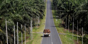 L’Assemblée exclut l’huile de palme des biocarburants, contre l’avis du gouvernement